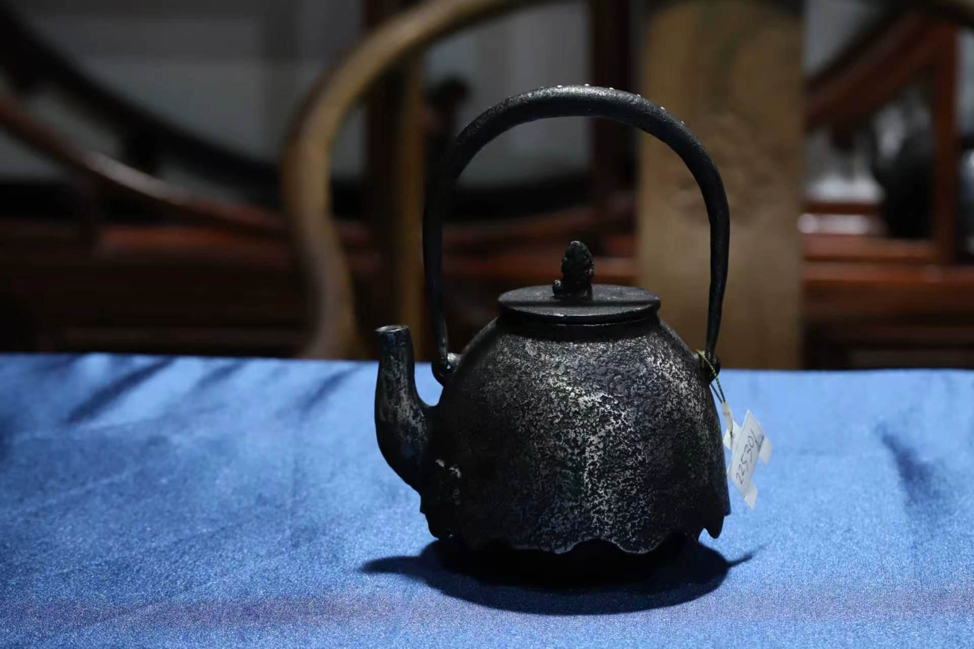 砂铁尾垂形鹭