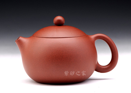红皮龙西施