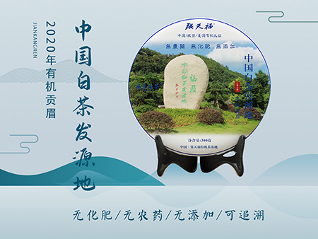 张天福2020年有机贡眉 中国白茶发源地纪念版  限量2000饼