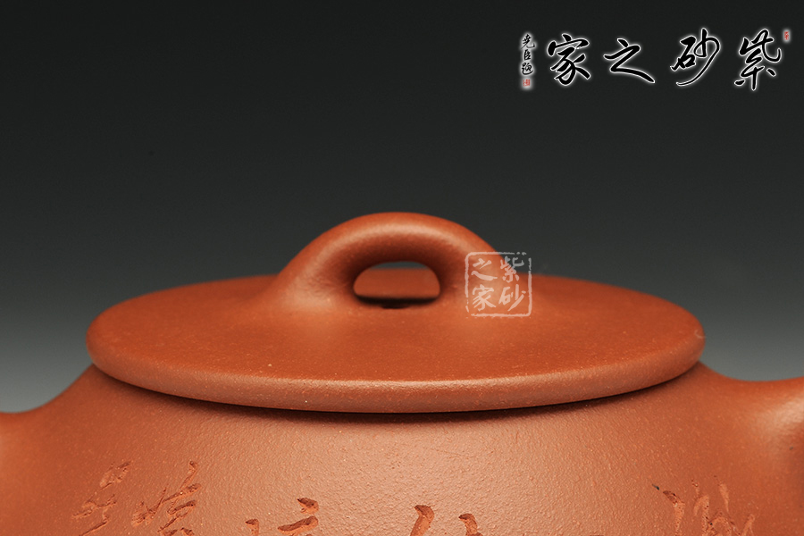 平盖石瓢