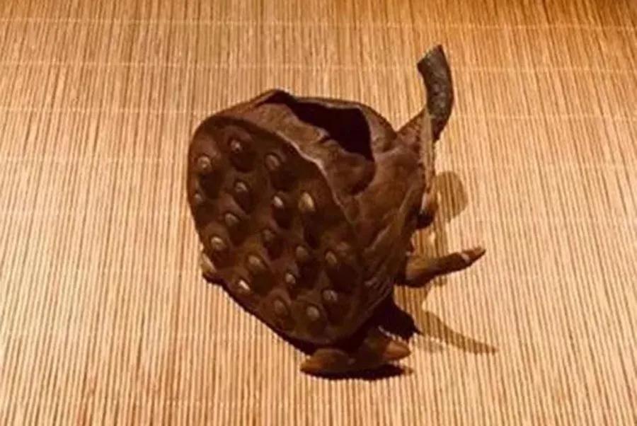 1599186560443768.jpg 11.jpg