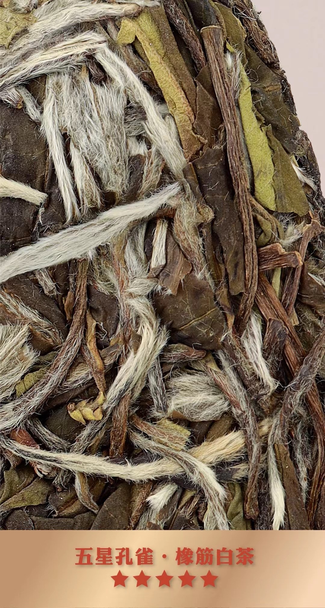 2021梅相靖五星孔雀一件