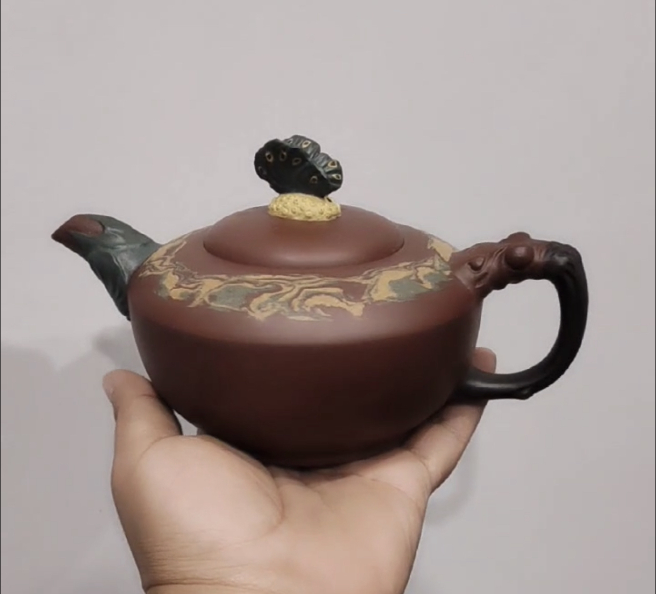 彩蝶（大）