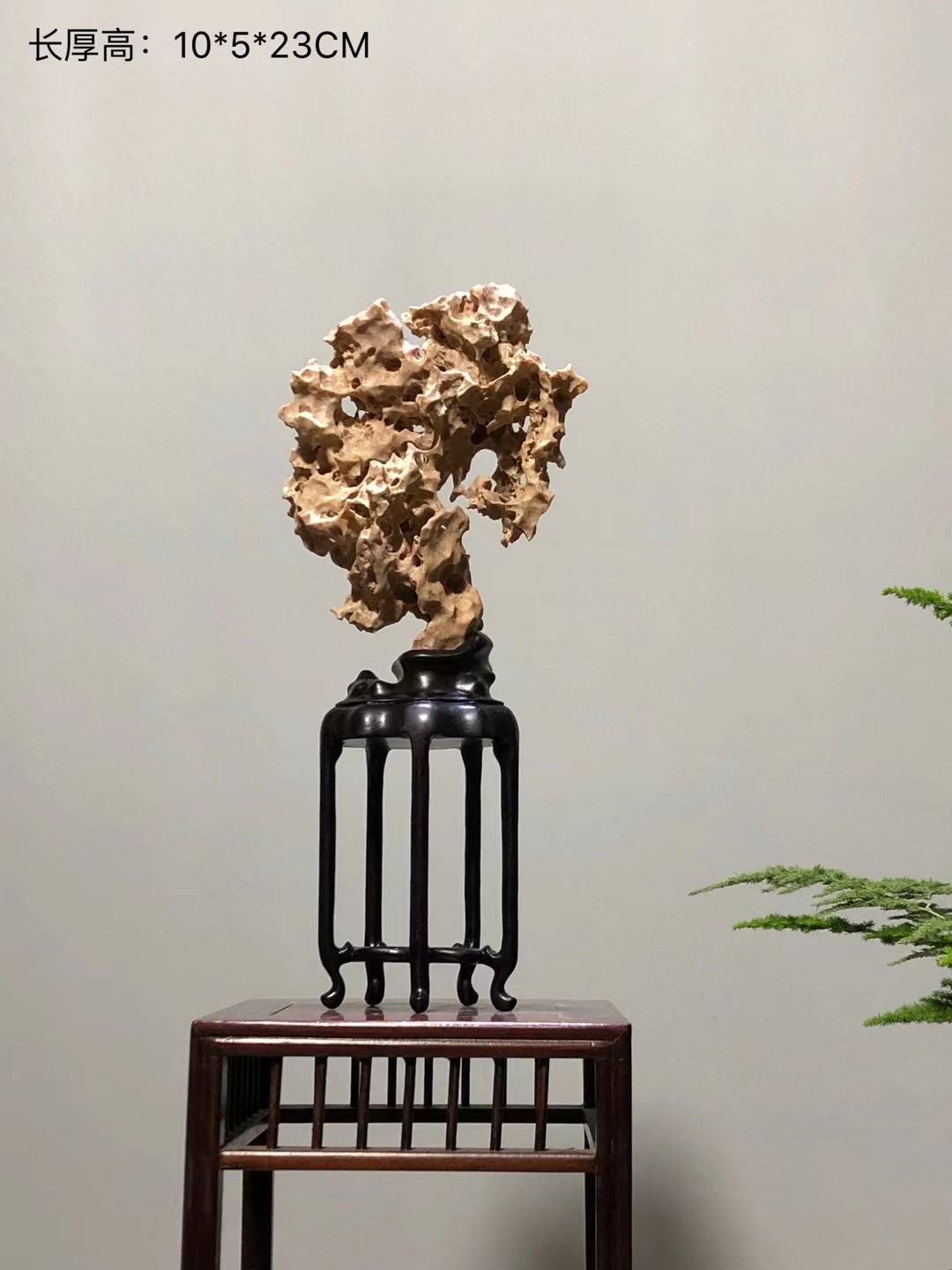 太湖石23*10