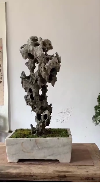 太湖石高73×宽26×厚20CM
