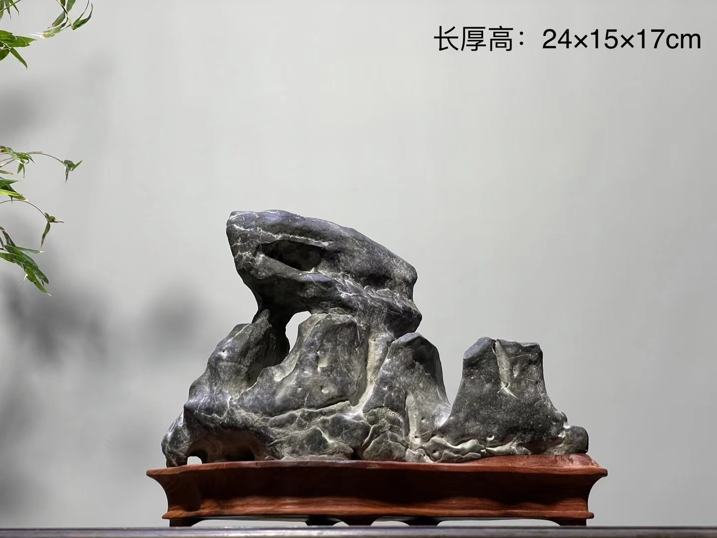 太湖石长厚高：24×15×17cm