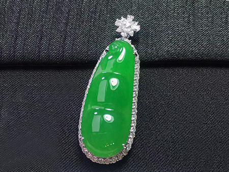 满阳绿福豆