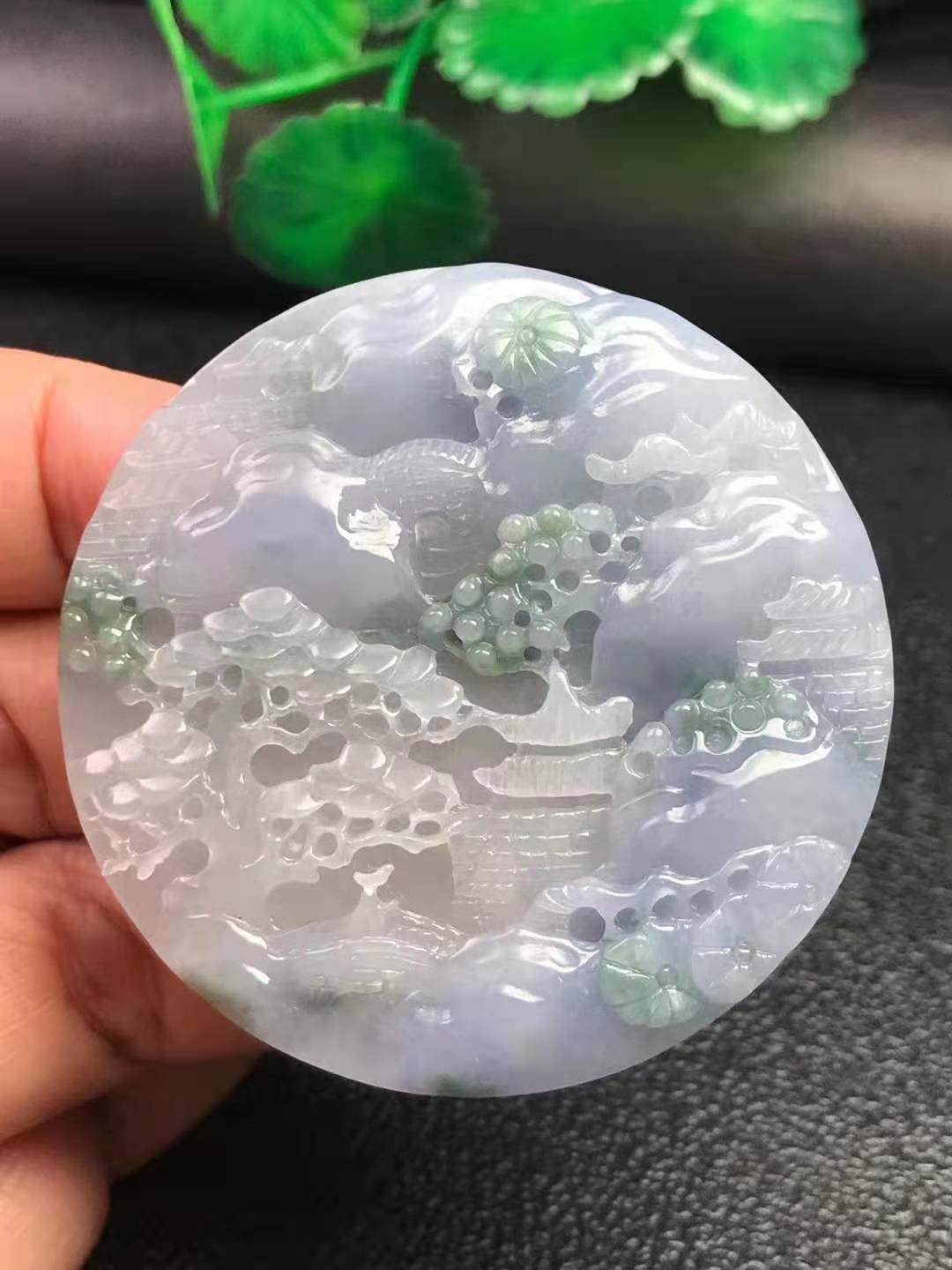 紫带花《山水牌》