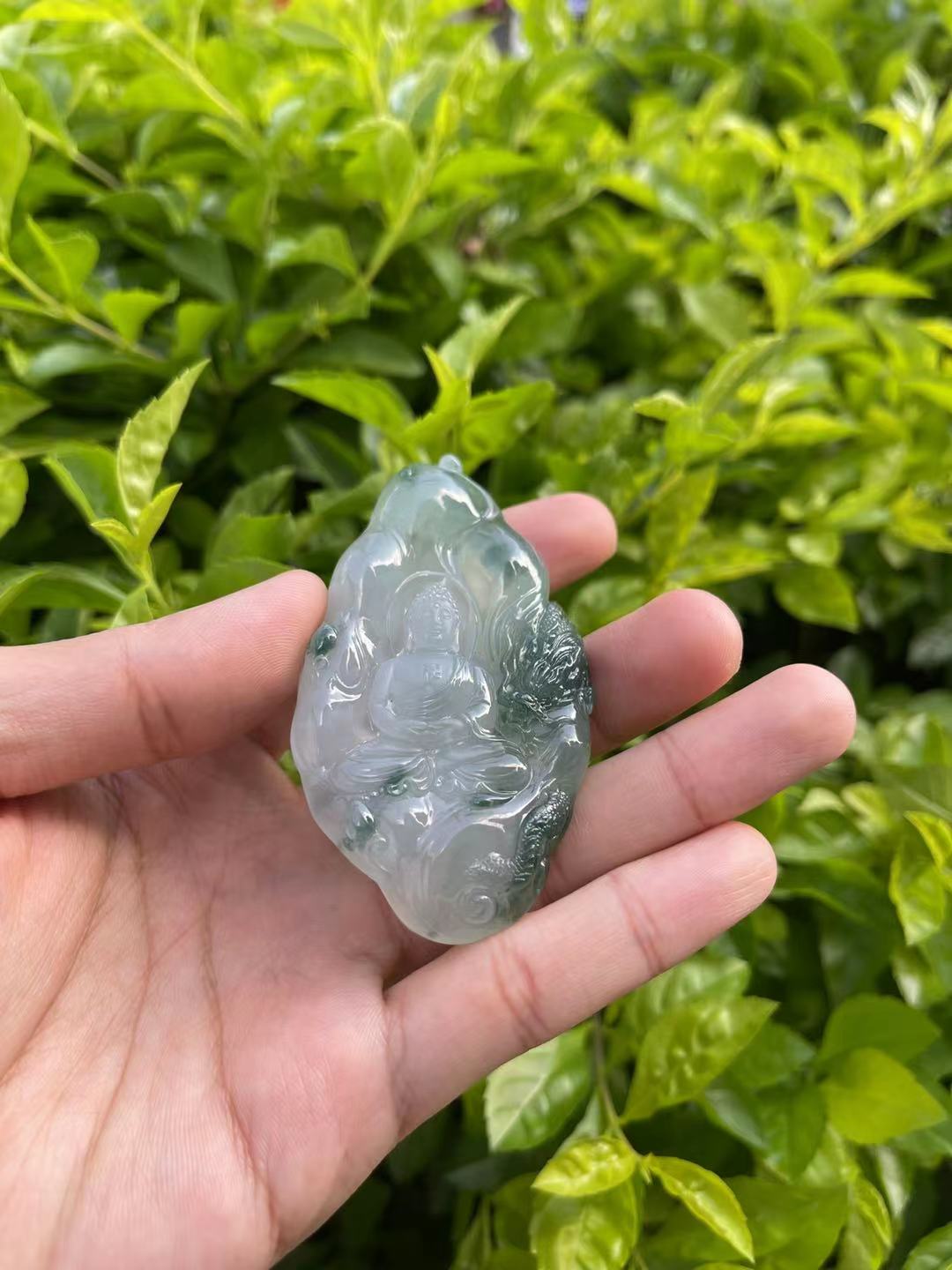 飘花如来