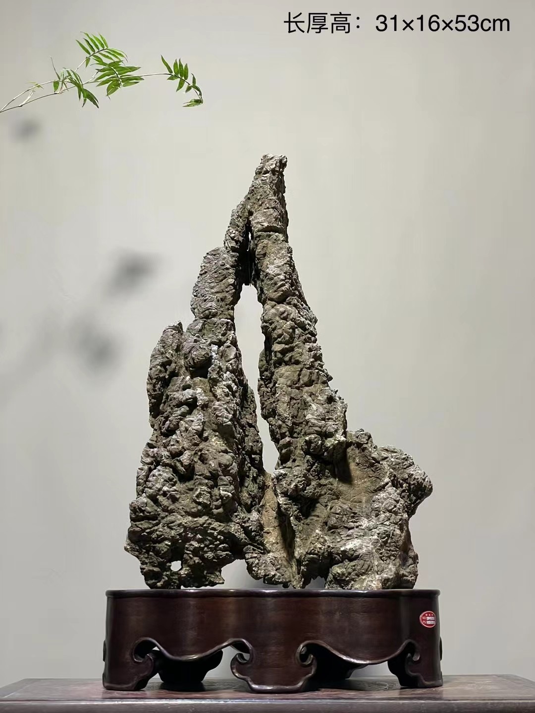 龟纹石31*16*53