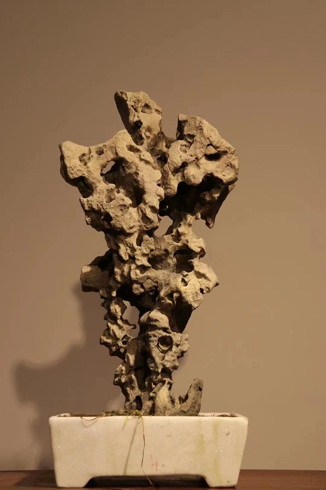 太湖石63*30