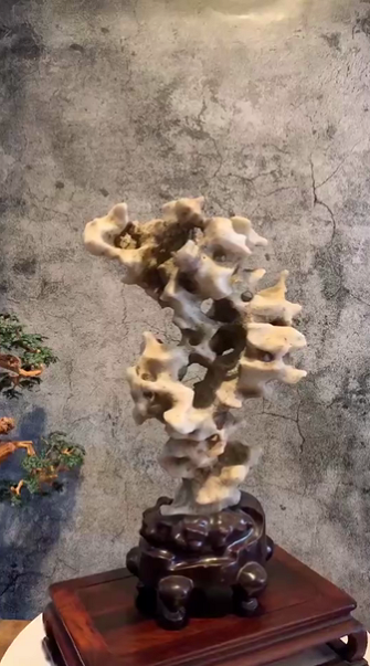 太湖石42*19*13
