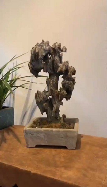 太湖石52*17*13