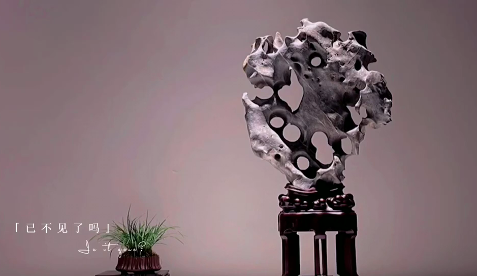太湖石70*36