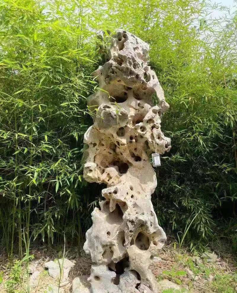 太湖石 206