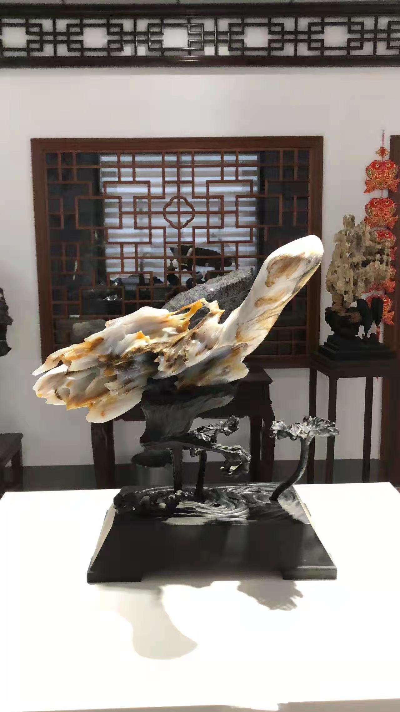 木化玉