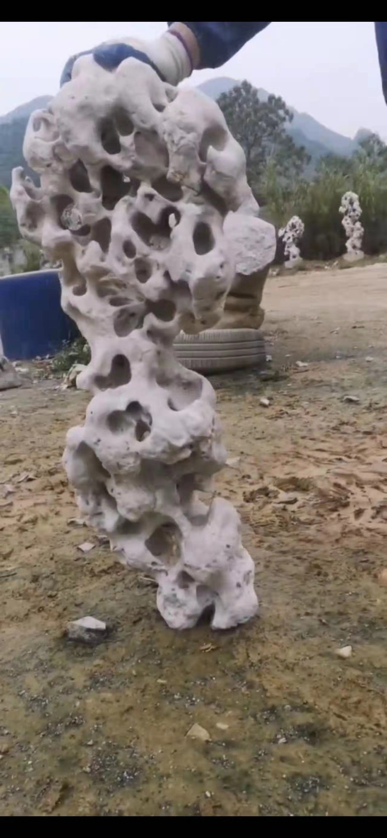 太湖石