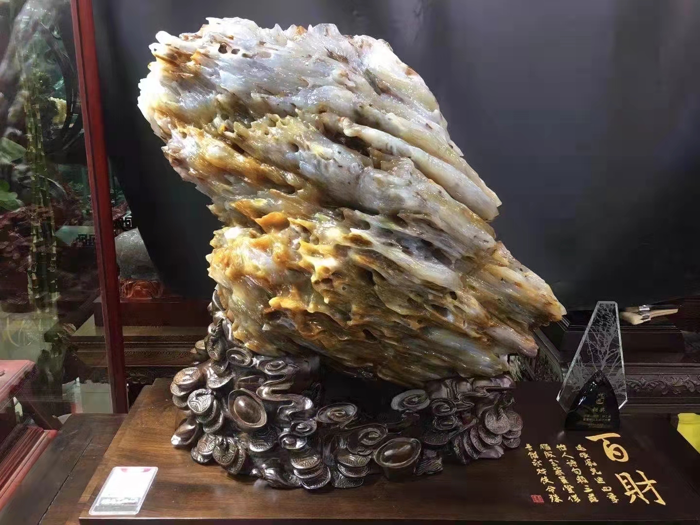树化石