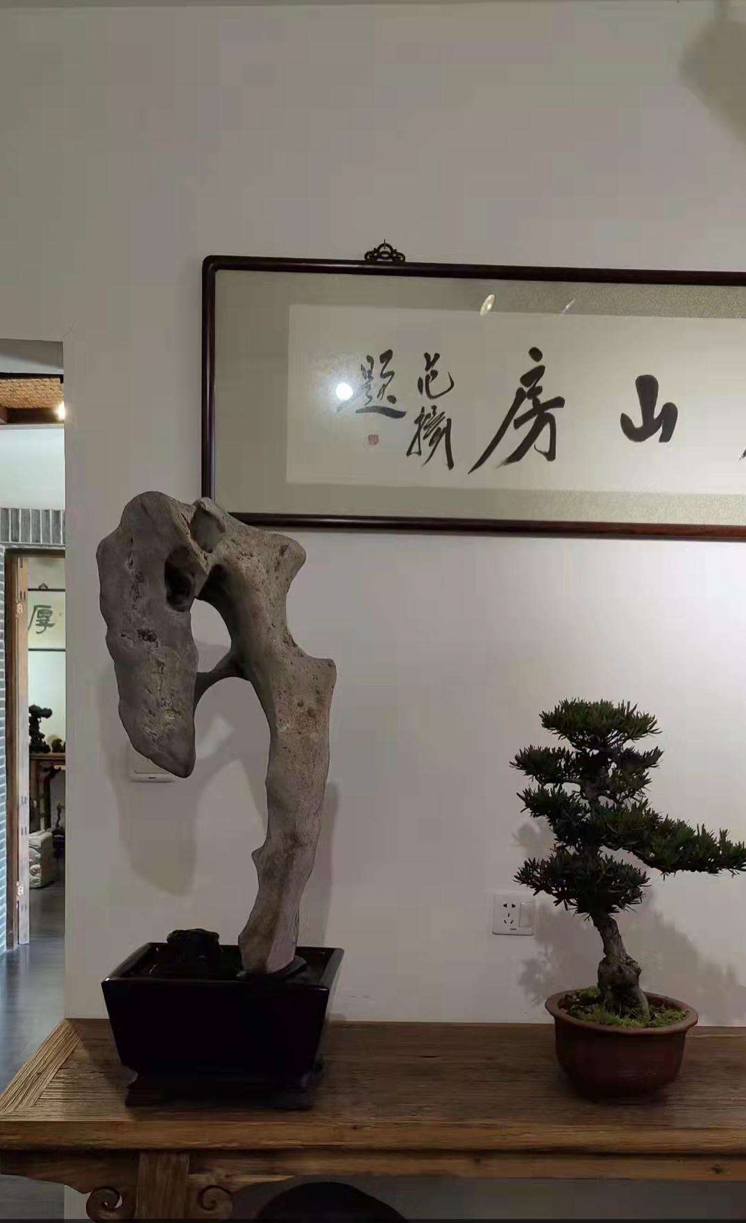 太湖石