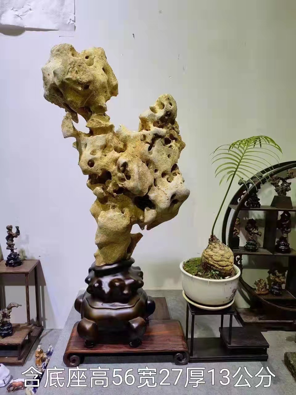 太湖石