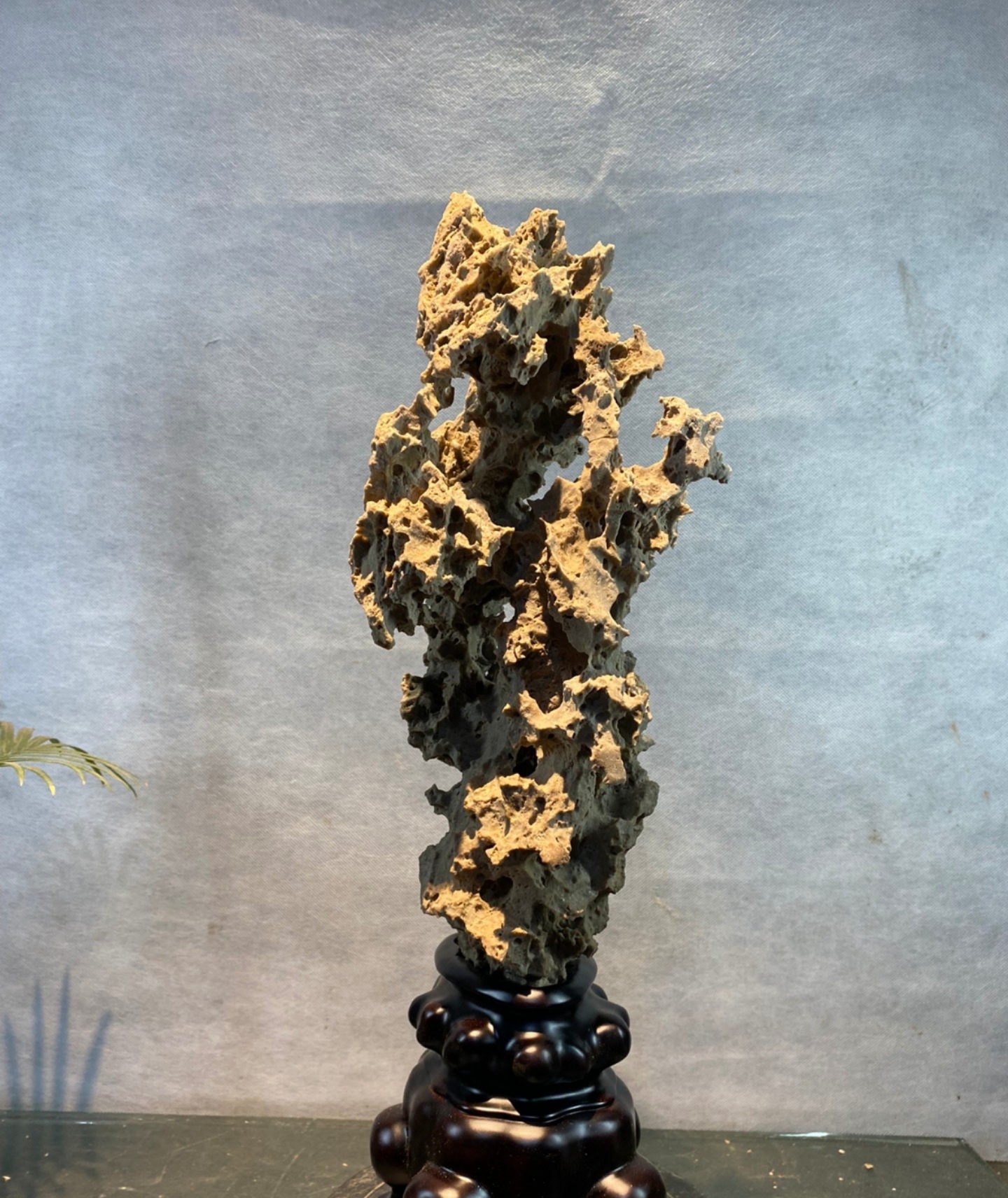 紫玲珑