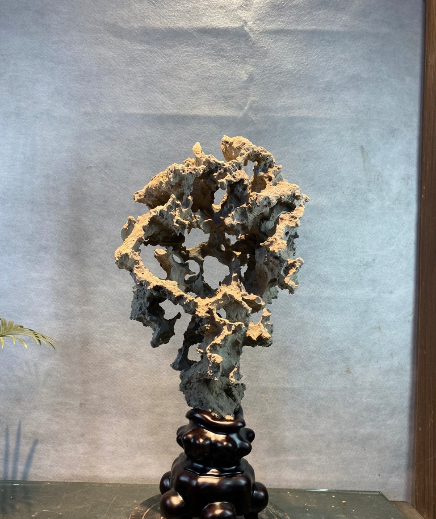 紫玲珑