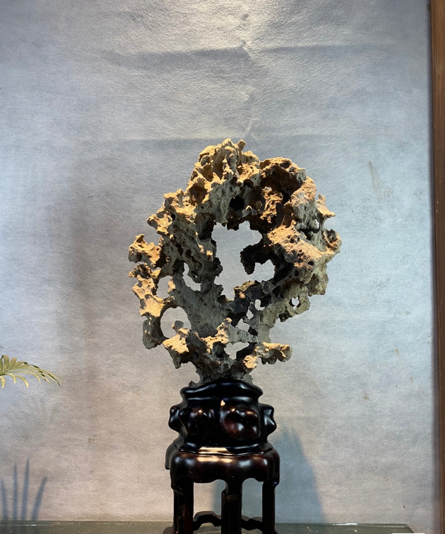紫玲珑