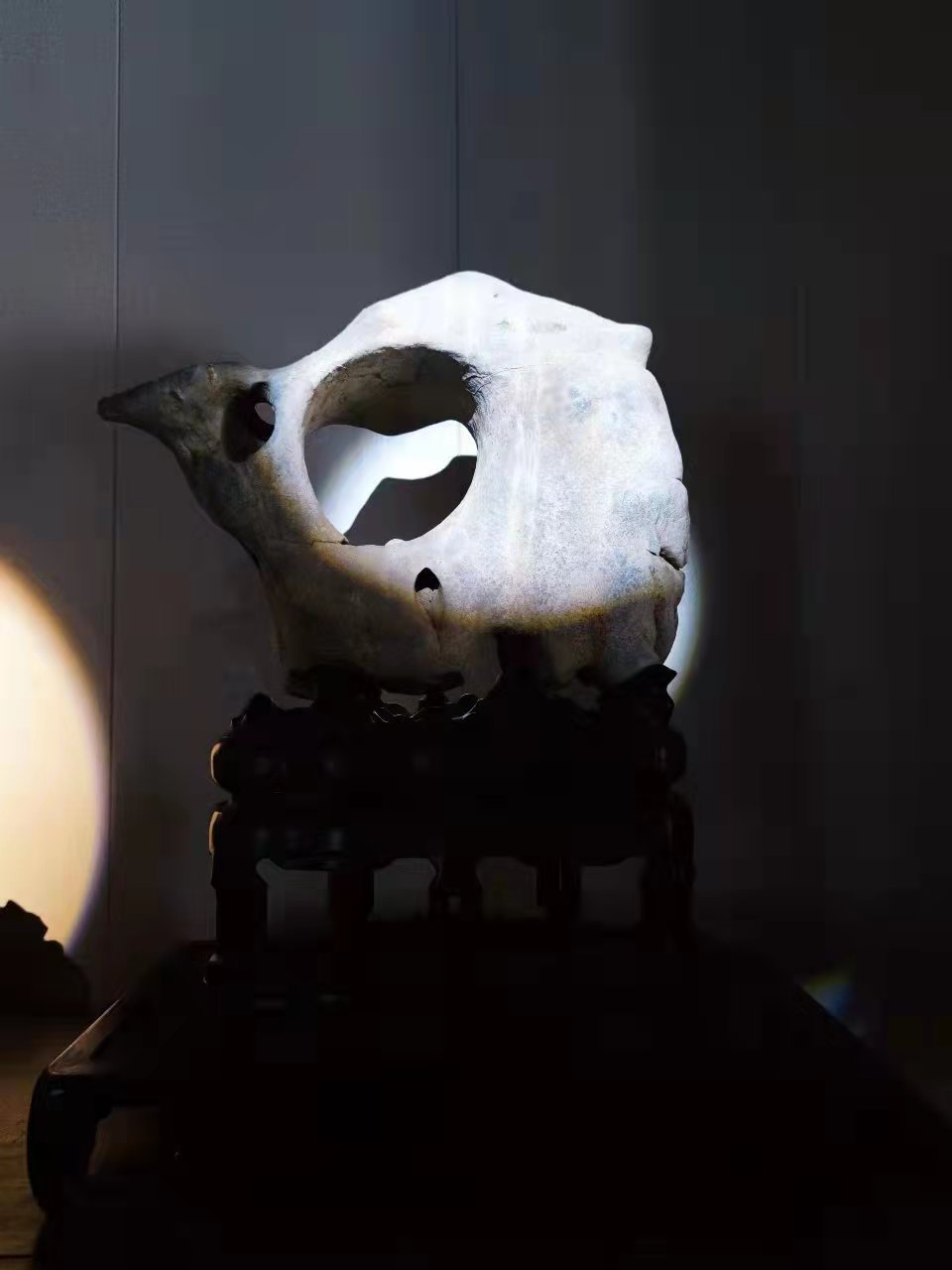 太湖石