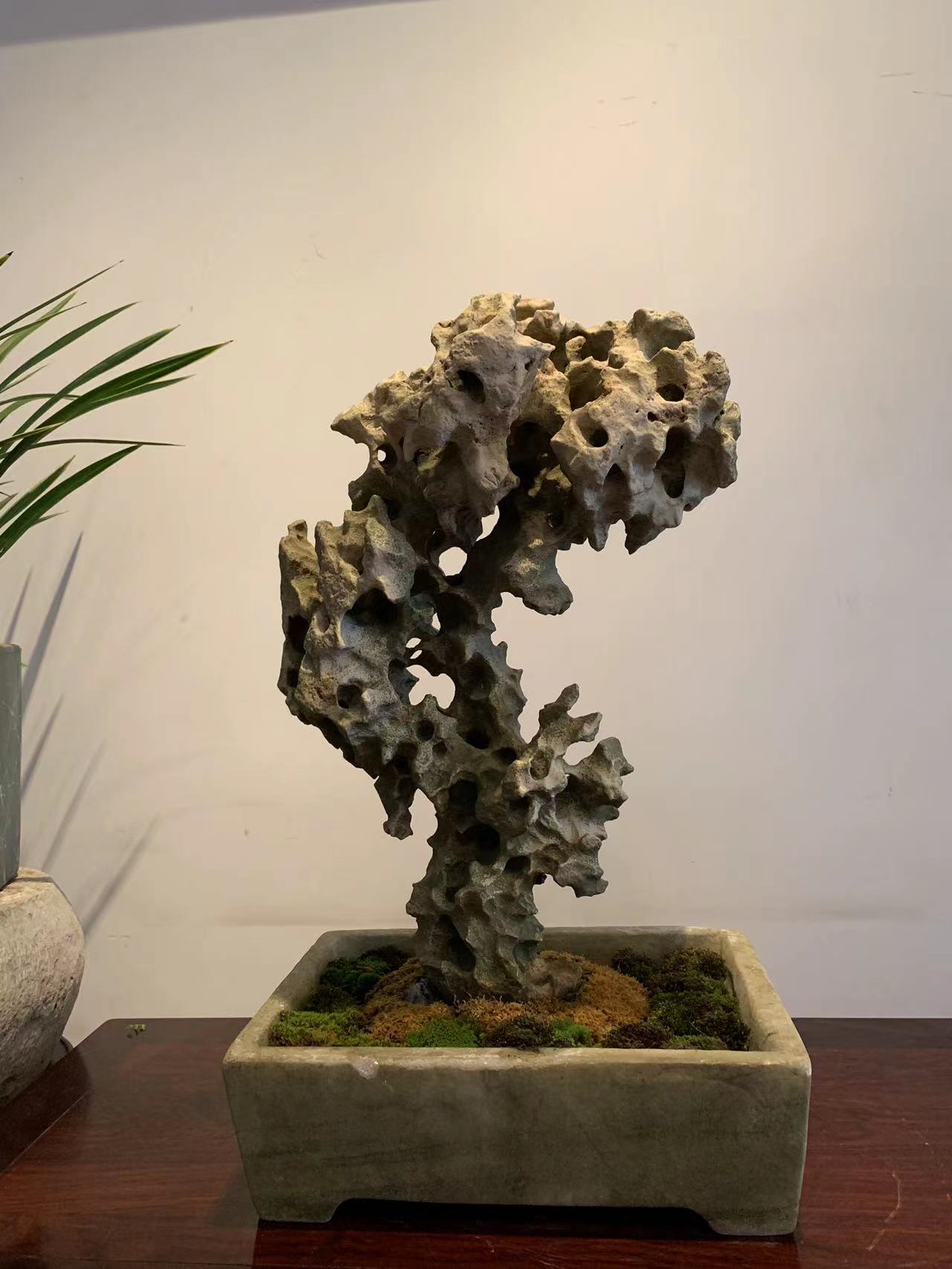 太湖石