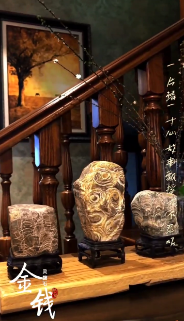 灵璧金钱石组合