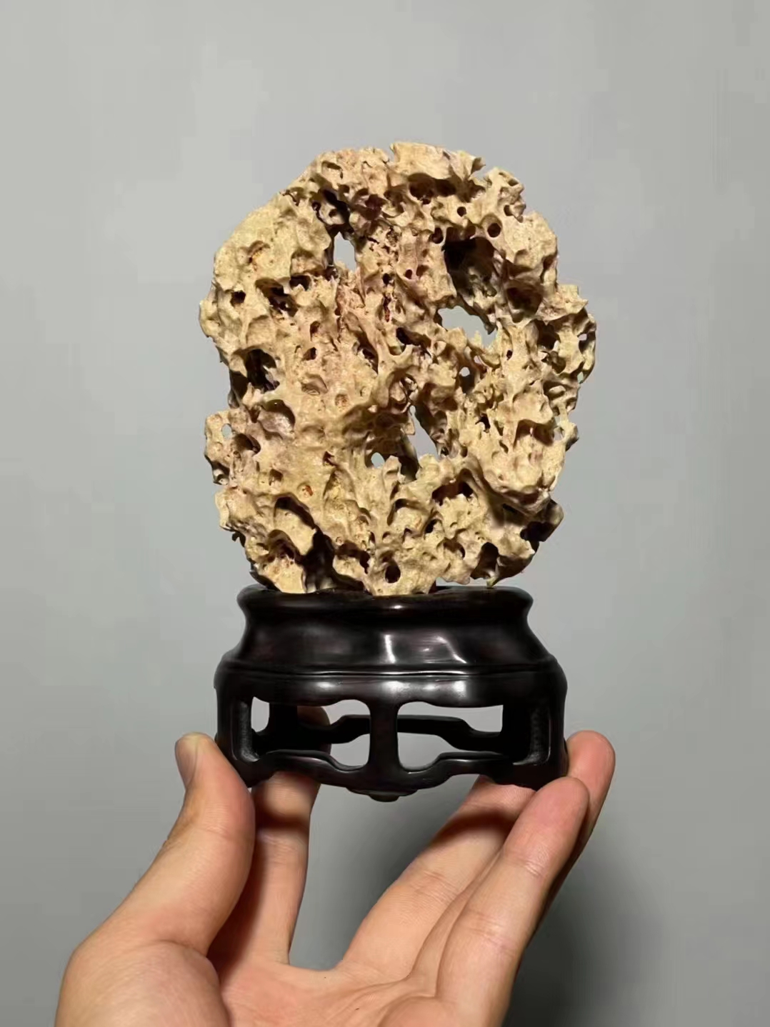 紫玲珑