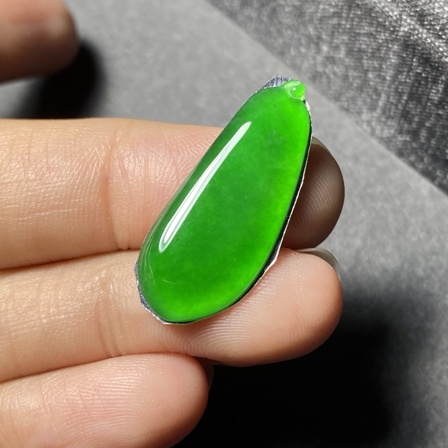 阳绿福豆