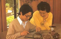 图片