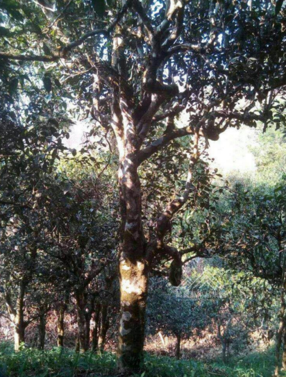 25.jpg